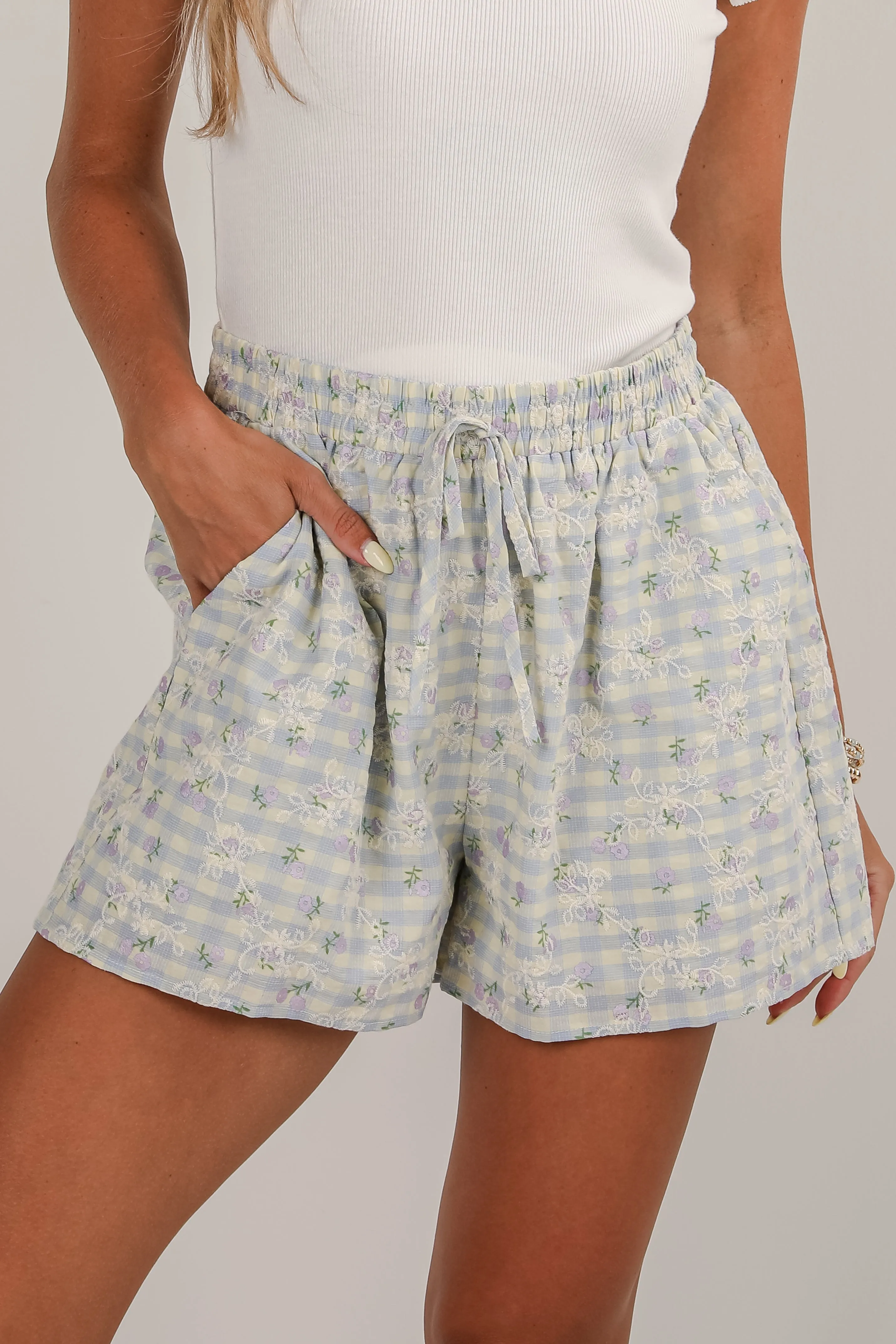 Next Thing You Know Light Blue Gingham Floral Embroidered Shorts